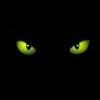Cateyes