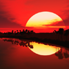 cm_red000