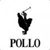 A Pollo