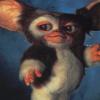 Gizmo