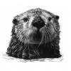 OtterNas3