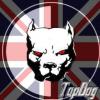 TopDog001
