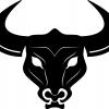 BullRaider
