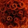 wangtangnoodle