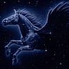 SupremeHorse